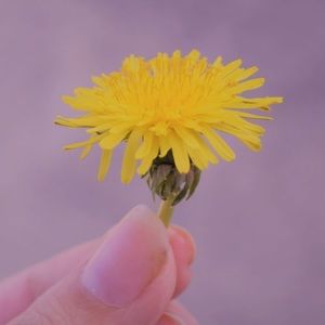 Meet your Posher, Marissa